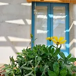 펜션 Casina La Tajata 마두리아