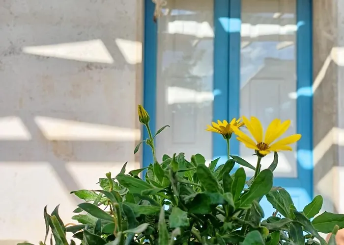 Ferienhaus Casina La Tajata Manduria